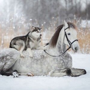 Meet your Posher, Tamara